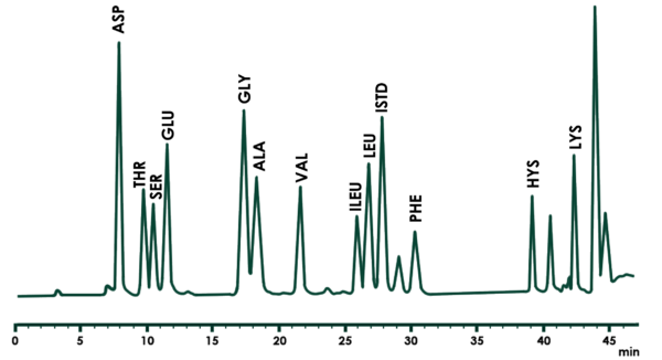 Хроматограмма анализа аминокислот